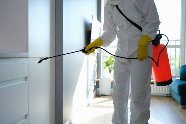 Best Residential Mold Removal  in Rocky Ford, CO